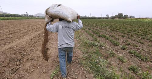 Fertilizantes: audios revelarían que hubo coima de por medio en licitación otorgada por AgroRural